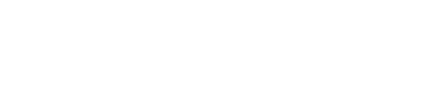 Menabue Carrelli Elevatori